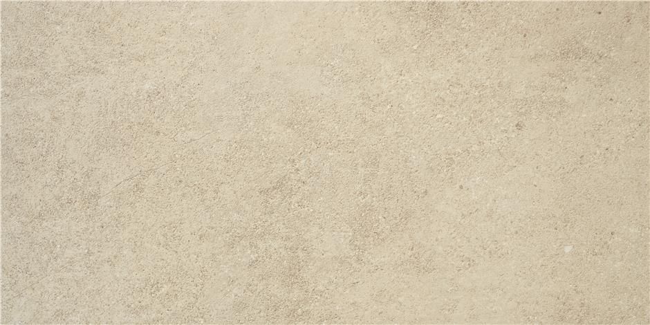 Cinque Porcelanico Esmaltado Regina Natural 60X120 Rect. Bodenfliese | Wandfliese Matt