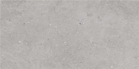 Cinque Flax Grey 60 x120 Bodenfliese | Wandfliese Matt 9559