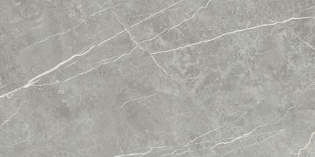 Tau Ceramica Elite Gray 90x180 Boden-/Wandfliese Poliert