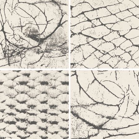 Steuler Thinsation sand St-n-Y12017001 Wand- /Bodenfliesen Dekorset 4-tlg. Zoom 60x60 matt
