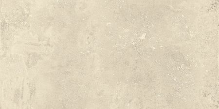 Castelvetro Absolute Bianco 60x120 Wand- und Bodenfliese Matt can-CAU62R1