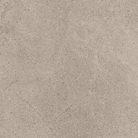 Castelvetro Life Grigio 60x60 Wand- und Bodenfliese Lappato can-CLE60RL4