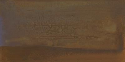 Steuler Thinactive rust St-n-Y12126001 Wand- /Bodenfliesen Dekor-60x120 matt